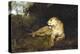 A Lioness, C1867-1910-John Macallan Swan-Premier Image Canvas