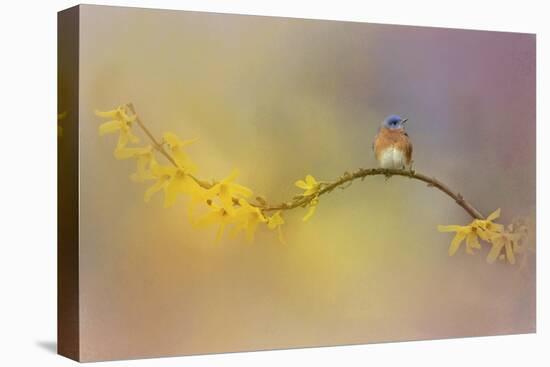 A Little Blue in the Garden-Jai Johnson-Premier Image Canvas