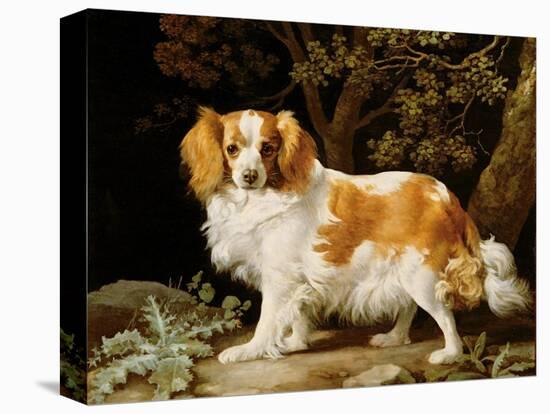 A Liver and White King Charles Spaniel in a Wooded Landscape, 1776-George Stubbs-Premier Image Canvas