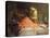 A Lobster, Shrimps and a Crab by an Urn on a Stone Ledge-Magne Desire-Alfred-Premier Image Canvas