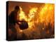 A Local Resident Throws a Bucket of Water on a Forest Fire-null-Premier Image Canvas