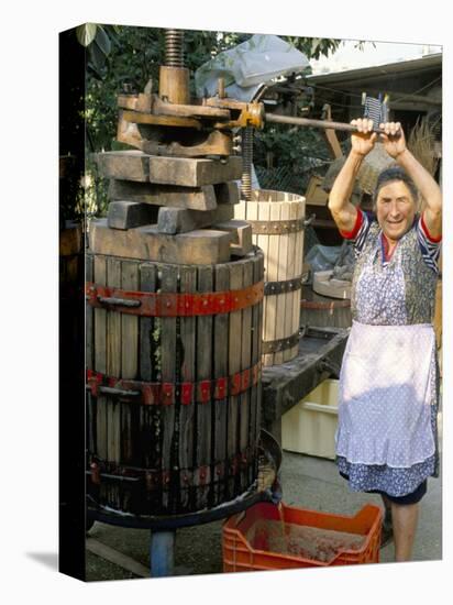A Local Winemaker Pressing Her Grapes at the Cantina, Torano Nuovo, Abruzzi, Italy-Michael Newton-Premier Image Canvas
