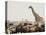 A Lone Giraffe Stands Tall at a Waterhole, Etosha National Park, Namibia, Africa-Wendy Kaveney-Premier Image Canvas