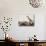 A Lone Giraffe Stands Tall at a Waterhole, Etosha National Park, Namibia, Africa-Wendy Kaveney-Premier Image Canvas displayed on a wall