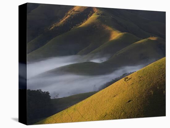 A Low-Hanging Mist in the Early Morning over Sao Francisco Xavier's Rolling Hills and Farmland-Alex Saberi-Premier Image Canvas