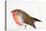 A Magical Little Robin Called Wisp, 2011-Nancy Moniz-Premier Image Canvas