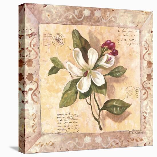 A Magnolia Page-Martin-Stretched Canvas