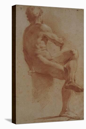 A Male Nude Seated with His Back Turned-Annibale Carracci-Premier Image Canvas