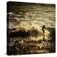 A Male Surfer Rides A Wave In The Pacific Ocean Off The Coast Of Santa Cruz This Image Tinted-Ron Koeberer-Stretched Canvas