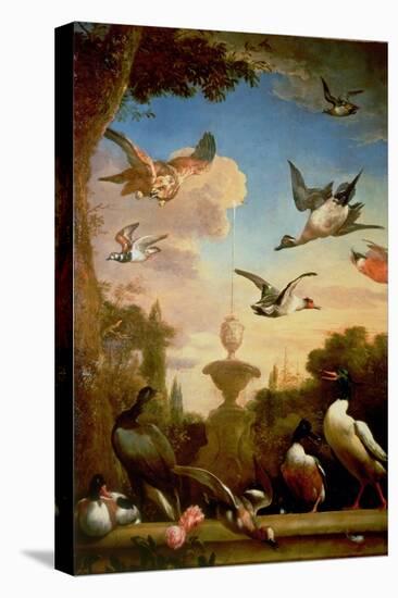 A Mallard and a Golden Eagle in a Classical Garden Landscape-Melchior de Hondecoeter-Premier Image Canvas