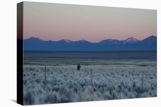 A Man at Dusk Crosses the Wilderness of the Sajama National Park, Bolivia-Alex Saberi-Premier Image Canvas