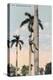 A Man Climbing a Palm Tree, Cuba, 1911-null-Premier Image Canvas