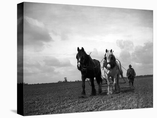 A Man on a Farm Harvesting in a Field with His Two Horses-null-Premier Image Canvas