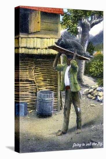 A Man on His Way to Market to Sell a Pig, Jamaica, C1900s-null-Premier Image Canvas