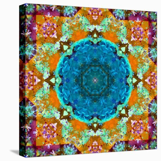 A Mandala from Flower Photographs and Water-Alaya Gadeh-Premier Image Canvas