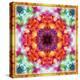 A Mandala from Flower Photographs-Alaya Gadeh-Premier Image Canvas