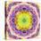 A Mandala from Flower Photographs-Alaya Gadeh-Premier Image Canvas