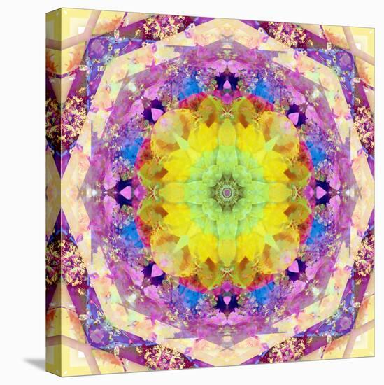 A Mandala from Flower Photographs-Alaya Gadeh-Premier Image Canvas