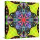 A Mandala from Flowers, and Ornaments-Alaya Gadeh-Premier Image Canvas