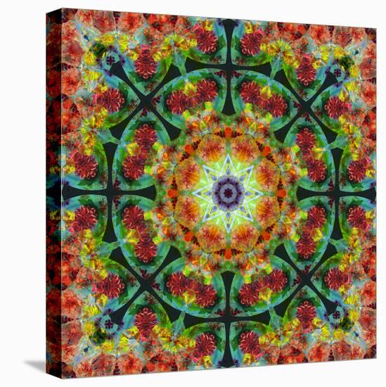 A Mandala from Flowers, Photograph, Many Layer Artwork-Alaya Gadeh-Premier Image Canvas