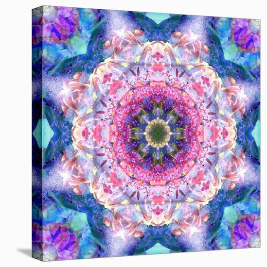 A Mandala from Flowers-Alaya Gadeh-Premier Image Canvas