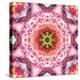 A Mandala from Flowers-Alaya Gadeh-Premier Image Canvas