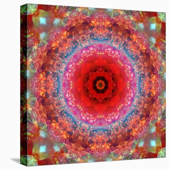 A Mandala from Rose and Cherry Blossom Photographs-Alaya Gadeh-Premier Image Canvas