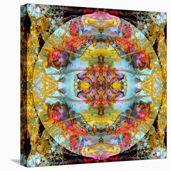 A Mandala Made Out of Flowers and Plants-Alaya Gadeh-Premier Image Canvas