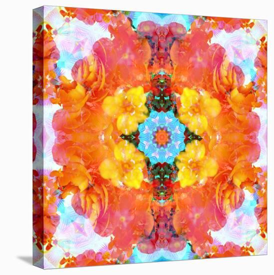 A Mandala Ornament from Flower Photographs, Conceptual Layer Work-Alaya Gadeh-Premier Image Canvas