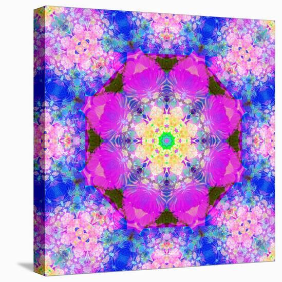 A Mandala Ornament from Flower Photographs, Conceptual Layer Work-Alaya Gadeh-Premier Image Canvas