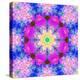 A Mandala Ornament from Flower Photographs, Conceptual Layer Work-Alaya Gadeh-Premier Image Canvas