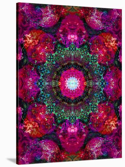 A Mandala Ornament from Flower Photographs, Conceptual Layer Work-Alaya Gadeh-Premier Image Canvas