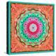 A Mandala Ornament from Flowers and Drawings-Alaya Gadeh-Premier Image Canvas