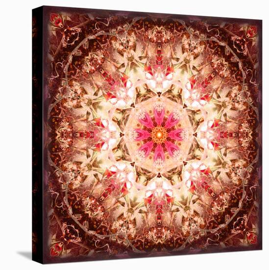 A Mandala Ornament from Flowers, Photography, Layer Artwork-Alaya Gadeh-Premier Image Canvas