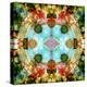 A Mandala Out of Flower a Montage-Alaya Gadeh-Premier Image Canvas