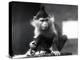 A Mangabey Monkey, Freckles, at ZSL London Zoo, from July 1925-Frederick William Bond-Premier Image Canvas