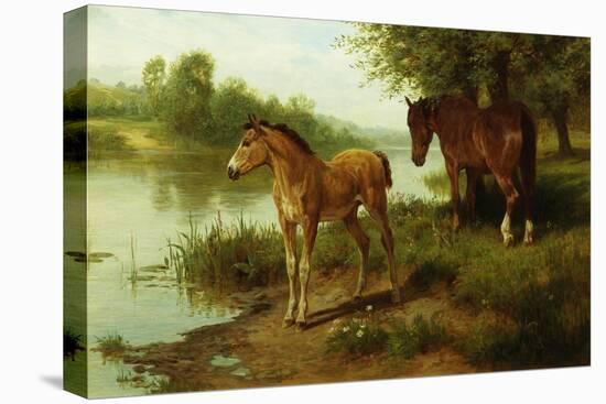 A Mare and Her Foal-Basil Bradley-Premier Image Canvas