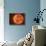 A Massive Red Dwarf Consuming Planets Within it's Range-Stocktrek Images-Premier Image Canvas displayed on a wall