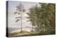 A Meadow in Hamburg-Joachim Faber-Premier Image Canvas