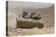 A Merkava Iii Main Battle Tank in the Negev Desert, Israel-Stocktrek Images-Premier Image Canvas