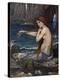 A Mermaid, 1900-John William Waterhouse-Stretched Canvas