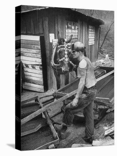 A Miner Standing with a Mule at the Rock House Coal Co. Mine-null-Premier Image Canvas