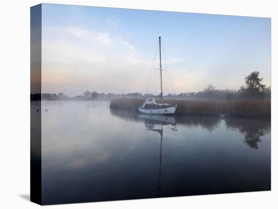 A Misty Morning in the Norfolk Broads at Horsey Mere, Norfolk, England, United Kingdom, Europe-Jon Gibbs-Premier Image Canvas