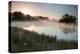 A Misty Sunrise over Pen Ponds in Richmond Park-Alex Saberi-Premier Image Canvas