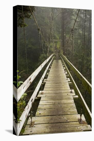 A Modern Hanging Bridge Crosses Above the Chasm of Tsocowis Creek-Sergio Ballivian-Premier Image Canvas