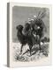 A Mongol Camel on the March-null-Premier Image Canvas