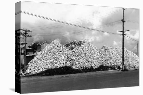 A Mountain of Oyster Shells View - South Bend, WA-Lantern Press-Stretched Canvas