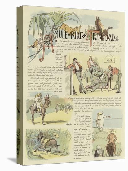 A Mule Ride in Trinidad-null-Premier Image Canvas