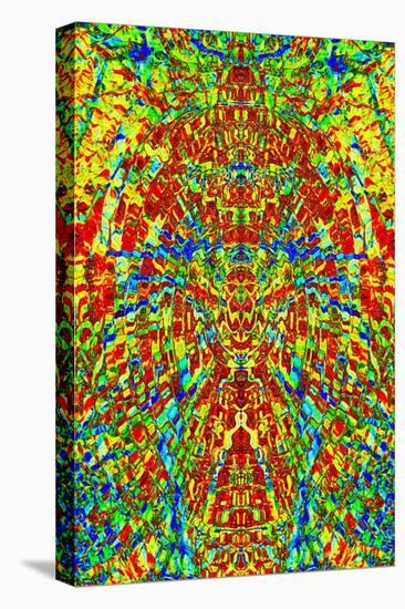 A Multicolored Kaleidoscopic Tapestry-Ray2012-Stretched Canvas