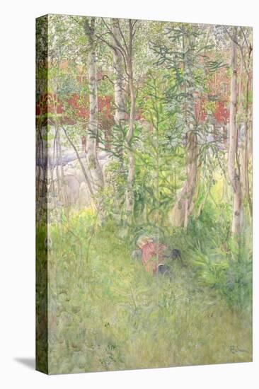 A Nap Out of Doors-Carl Larsson-Premier Image Canvas